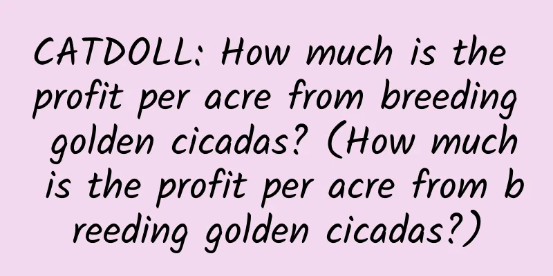 CATDOLL: How much is the profit per acre from breeding golden cicadas? (How much is the profit per acre from breeding golden cicadas?)