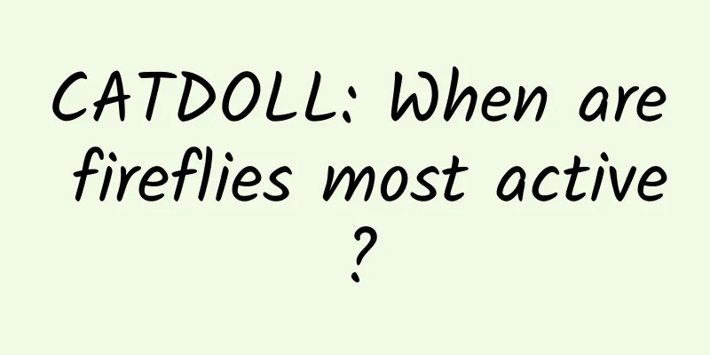 CATDOLL: When are fireflies most active?