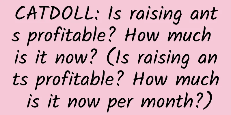 CATDOLL: Is raising ants profitable? How much is it now? (Is raising ants profitable? How much is it now per month?)