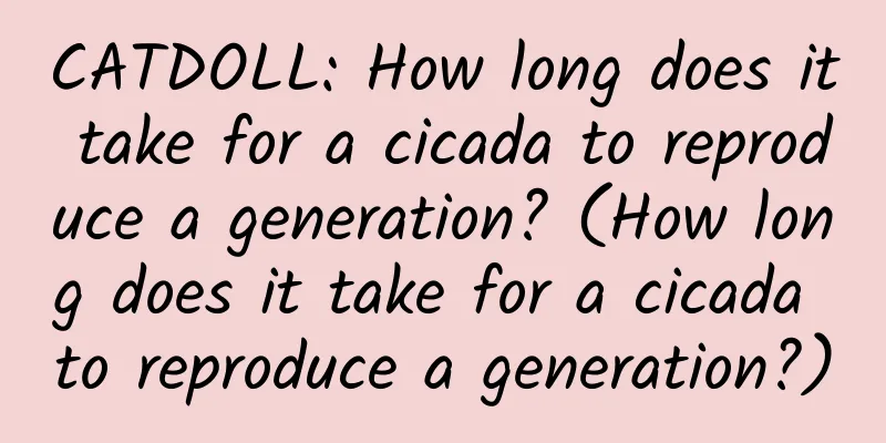 CATDOLL: How long does it take for a cicada to reproduce a generation? (How long does it take for a cicada to reproduce a generation?)