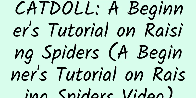 CATDOLL: A Beginner's Tutorial on Raising Spiders (A Beginner's Tutorial on Raising Spiders Video)
