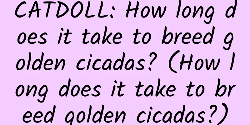CATDOLL: How long does it take to breed golden cicadas? (How long does it take to breed golden cicadas?)