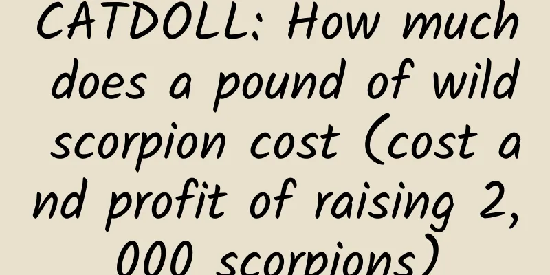 CATDOLL: How much does a pound of wild scorpion cost (cost and profit of raising 2,000 scorpions)
