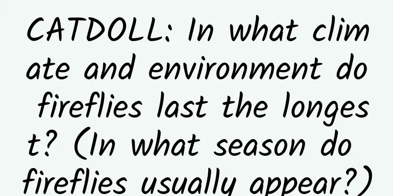 CATDOLL: In what climate and environment do fireflies last the longest? (In what season do fireflies usually appear?)