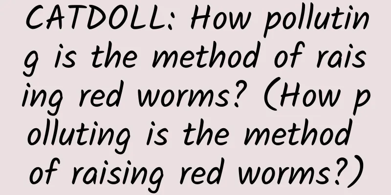 CATDOLL: How polluting is the method of raising red worms? (How polluting is the method of raising red worms?)