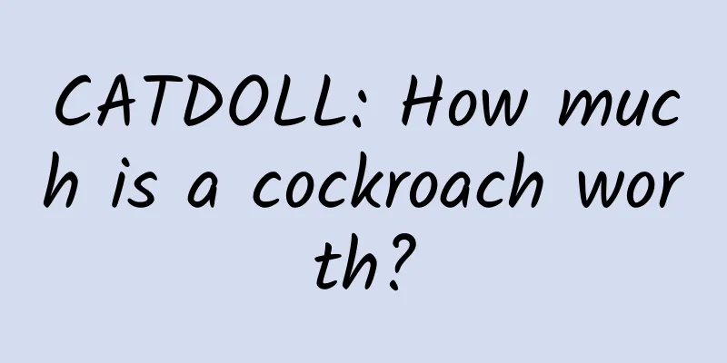 CATDOLL: How much is a cockroach worth?