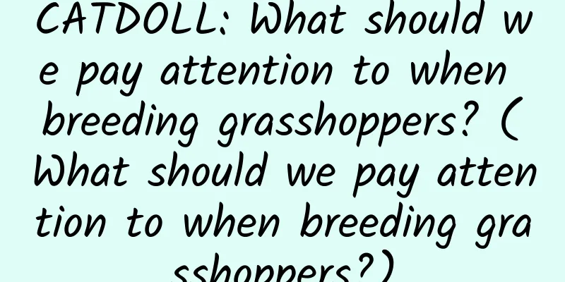 CATDOLL: What should we pay attention to when breeding grasshoppers? (What should we pay attention to when breeding grasshoppers?)