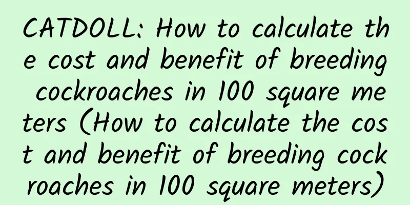 CATDOLL: How to calculate the cost and benefit of breeding cockroaches in 100 square meters (How to calculate the cost and benefit of breeding cockroaches in 100 square meters)