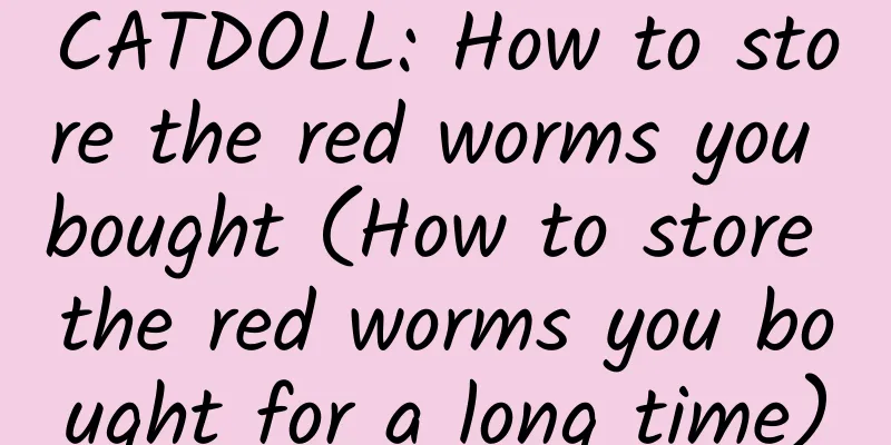 CATDOLL: How to store the red worms you bought (How to store the red worms you bought for a long time)