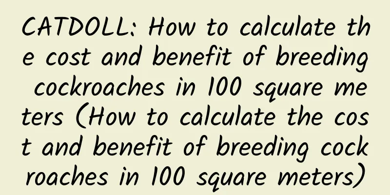 CATDOLL: How to calculate the cost and benefit of breeding cockroaches in 100 square meters (How to calculate the cost and benefit of breeding cockroaches in 100 square meters)