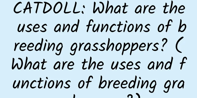 CATDOLL: What are the uses and functions of breeding grasshoppers? (What are the uses and functions of breeding grasshoppers?)