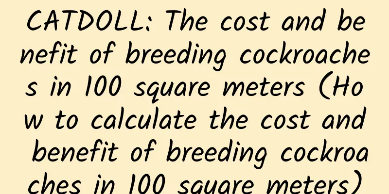 CATDOLL: The cost and benefit of breeding cockroaches in 100 square meters (How to calculate the cost and benefit of breeding cockroaches in 100 square meters)