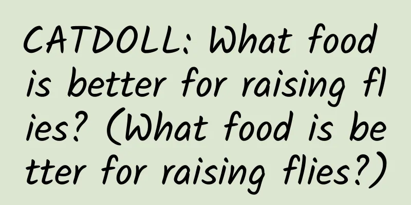 CATDOLL: What food is better for raising flies? (What food is better for raising flies?)