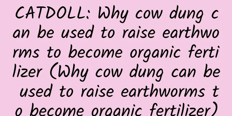 CATDOLL: Why cow dung can be used to raise earthworms to become organic fertilizer (Why cow dung can be used to raise earthworms to become organic fertilizer)