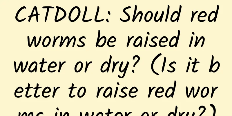 CATDOLL: Should red worms be raised in water or dry? (Is it better to raise red worms in water or dry?)
