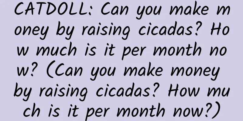 CATDOLL: Can you make money by raising cicadas? How much is it per month now? (Can you make money by raising cicadas? How much is it per month now?)