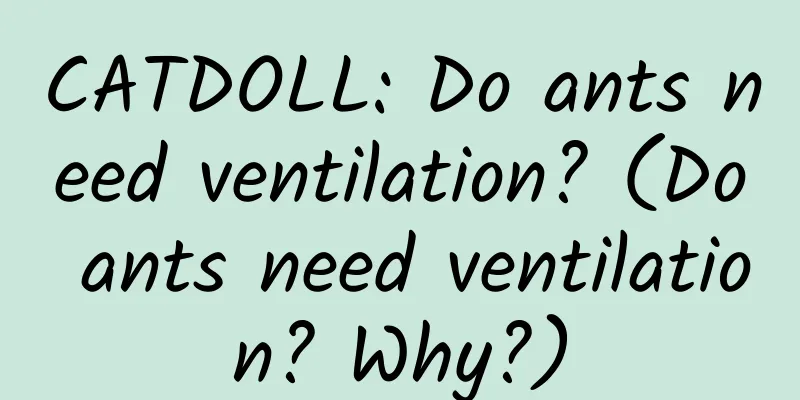 CATDOLL: Do ants need ventilation? (Do ants need ventilation? Why?)