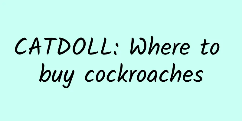 CATDOLL: Where to buy cockroaches