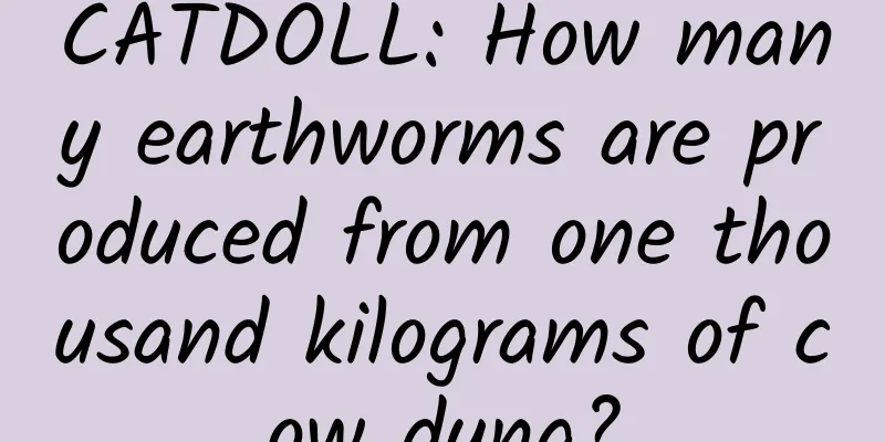 CATDOLL: How many earthworms are produced from one thousand kilograms of cow dung?