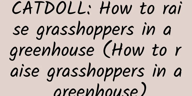 CATDOLL: How to raise grasshoppers in a greenhouse (How to raise grasshoppers in a greenhouse)