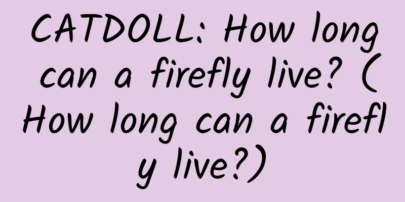 CATDOLL: How long can a firefly live? (How long can a firefly live?)