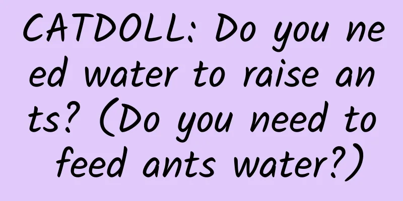 CATDOLL: Do you need water to raise ants? (Do you need to feed ants water?)