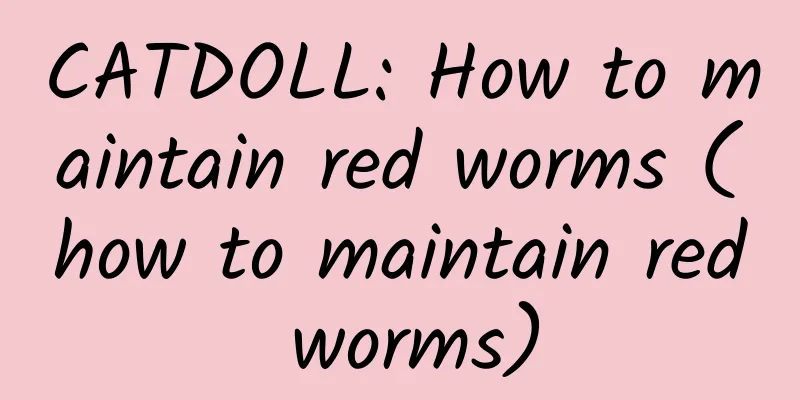 CATDOLL: How to maintain red worms (how to maintain red worms)