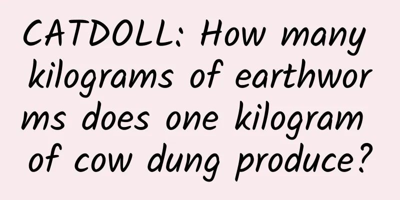 CATDOLL: How many kilograms of earthworms does one kilogram of cow dung produce?