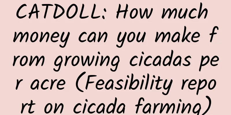 CATDOLL: How much money can you make from growing cicadas per acre (Feasibility report on cicada farming)