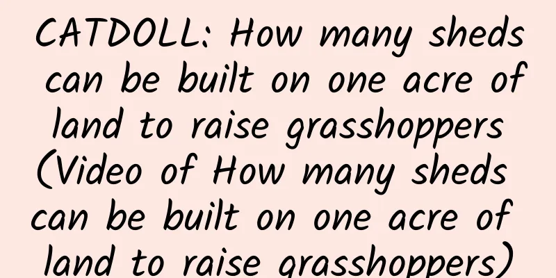 CATDOLL: How many sheds can be built on one acre of land to raise grasshoppers (Video of How many sheds can be built on one acre of land to raise grasshoppers)