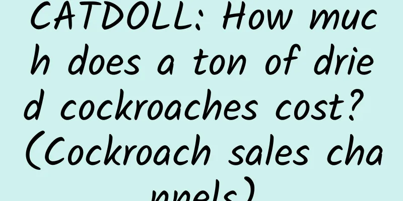 CATDOLL: How much does a ton of dried cockroaches cost? (Cockroach sales channels)