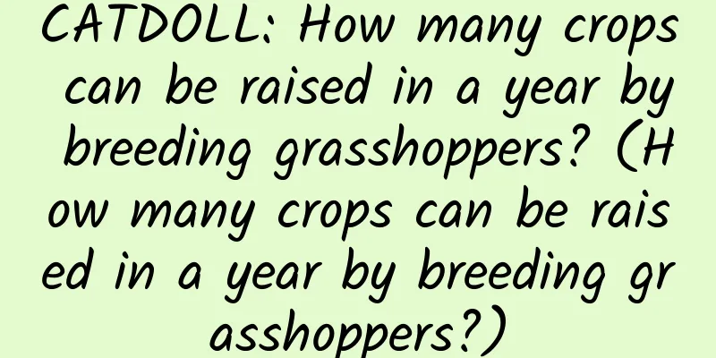 CATDOLL: How many crops can be raised in a year by breeding grasshoppers? (How many crops can be raised in a year by breeding grasshoppers?)
