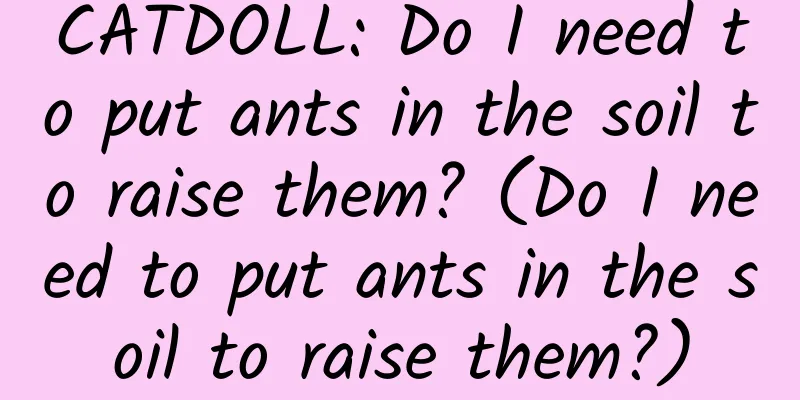 CATDOLL: Do I need to put ants in the soil to raise them? (Do I need to put ants in the soil to raise them?)