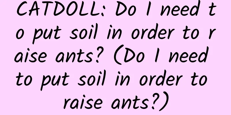 CATDOLL: Do I need to put soil in order to raise ants? (Do I need to put soil in order to raise ants?)