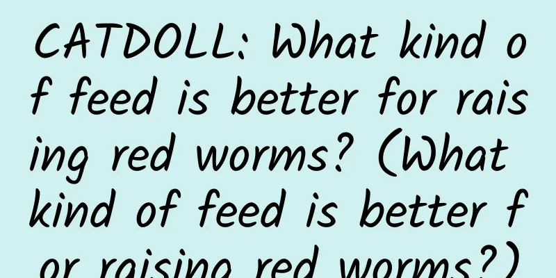 CATDOLL: What kind of feed is better for raising red worms? (What kind of feed is better for raising red worms?)