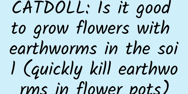 CATDOLL: Is it good to grow flowers with earthworms in the soil (quickly kill earthworms in flower pots)