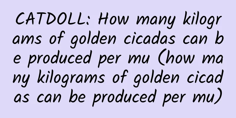 CATDOLL: How many kilograms of golden cicadas can be produced per mu (how many kilograms of golden cicadas can be produced per mu)