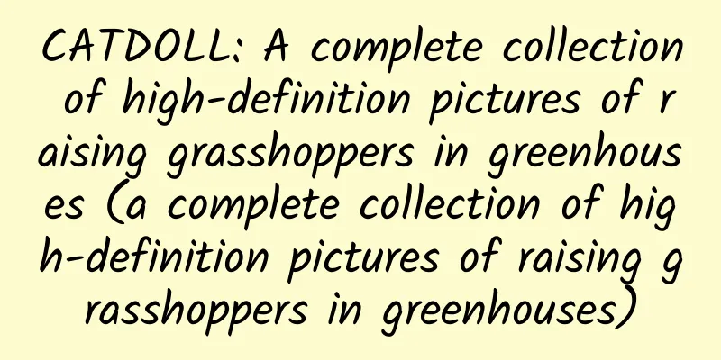 CATDOLL: A complete collection of high-definition pictures of raising grasshoppers in greenhouses (a complete collection of high-definition pictures of raising grasshoppers in greenhouses)