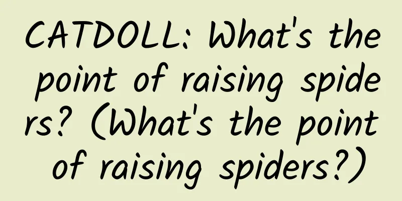 CATDOLL: What's the point of raising spiders? (What's the point of raising spiders?)