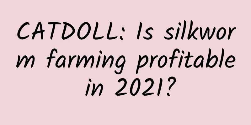 CATDOLL: Is silkworm farming profitable in 2021?