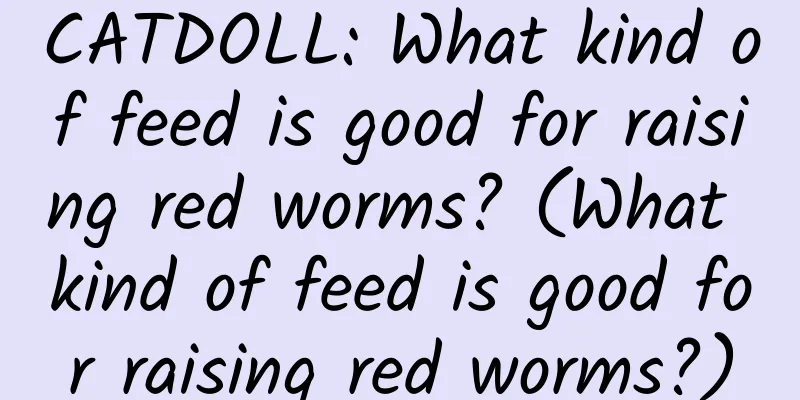 CATDOLL: What kind of feed is good for raising red worms? (What kind of feed is good for raising red worms?)