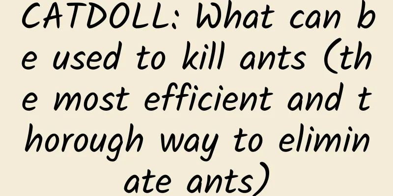 CATDOLL: What can be used to kill ants (the most efficient and thorough way to eliminate ants)