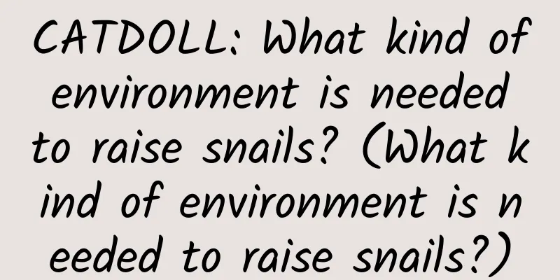 CATDOLL: What kind of environment is needed to raise snails? (What kind of environment is needed to raise snails?)