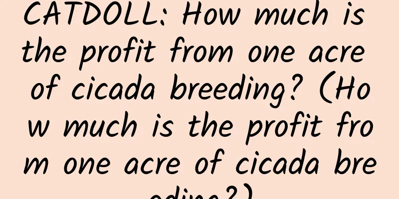 CATDOLL: How much is the profit from one acre of cicada breeding? (How much is the profit from one acre of cicada breeding?)