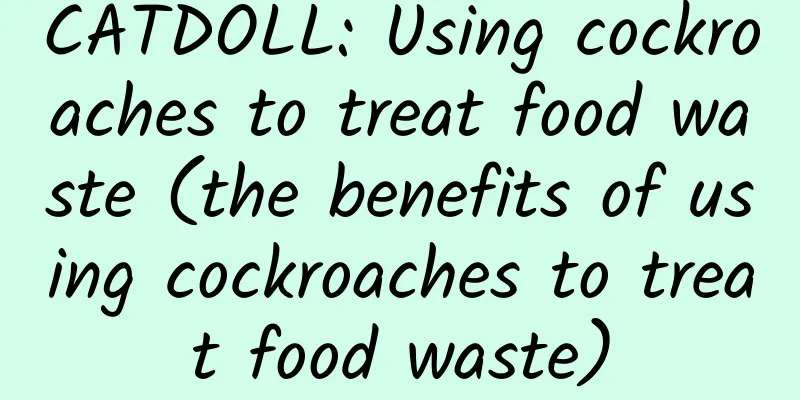 CATDOLL: Using cockroaches to treat food waste (the benefits of using cockroaches to treat food waste)