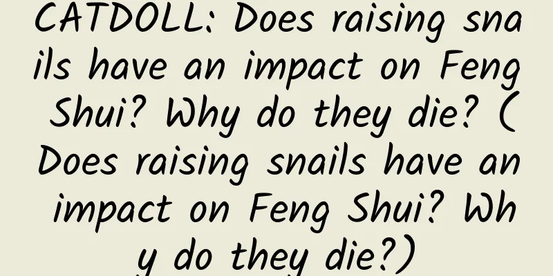 CATDOLL: Does raising snails have an impact on Feng Shui? Why do they die? (Does raising snails have an impact on Feng Shui? Why do they die?)