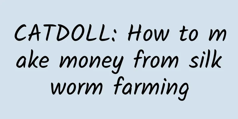 CATDOLL: How to make money from silkworm farming