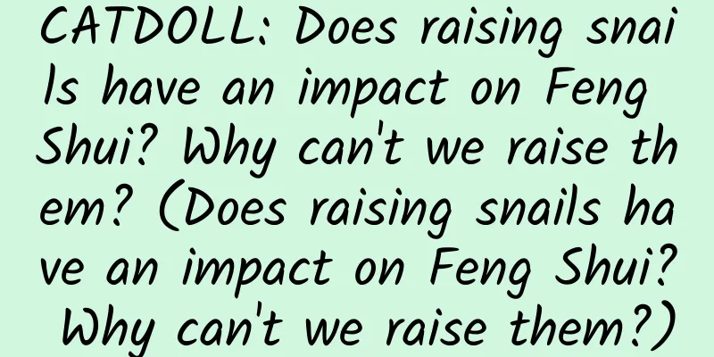 CATDOLL: Does raising snails have an impact on Feng Shui? Why can't we raise them? (Does raising snails have an impact on Feng Shui? Why can't we raise them?)