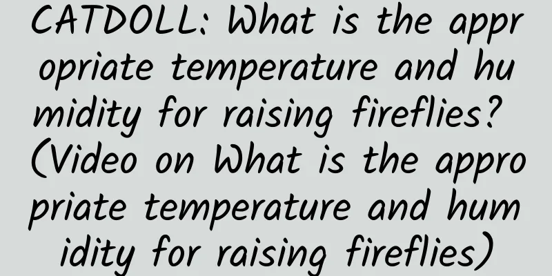 CATDOLL: What is the appropriate temperature and humidity for raising fireflies? (Video on What is the appropriate temperature and humidity for raising fireflies)