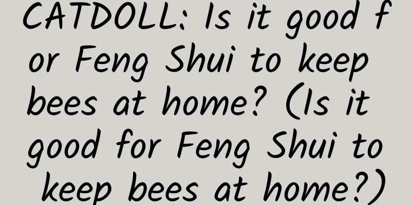 CATDOLL: Is it good for Feng Shui to keep bees at home? (Is it good for Feng Shui to keep bees at home?)